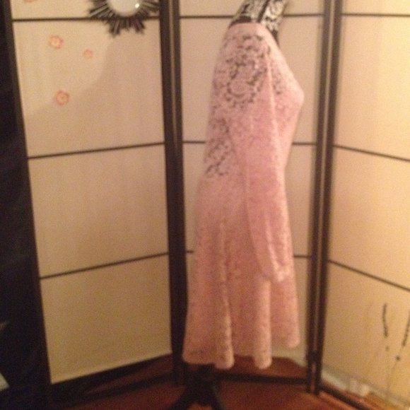 Pinup Style Baby Pink Lace & Mesh A-Line Dress - Picture 7 of 14